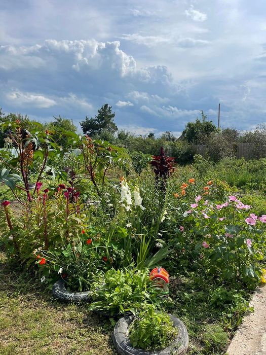 Продам дачный участок , 18 маршрут .