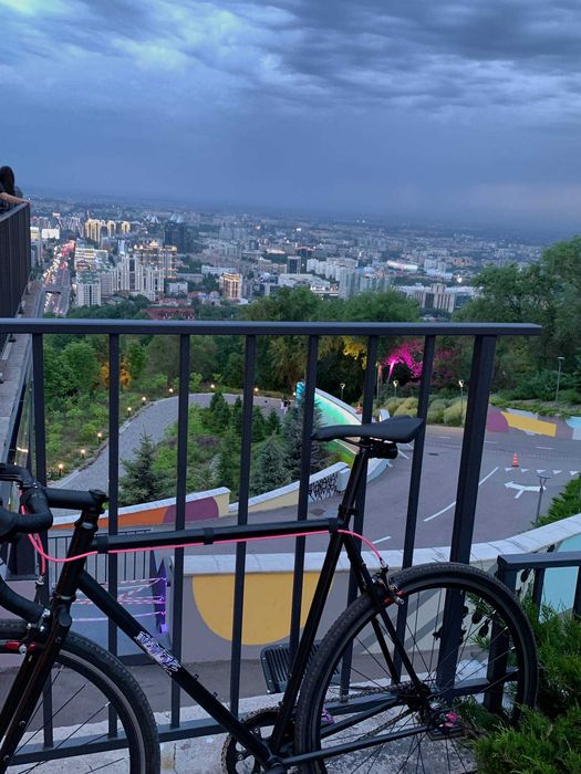Octopus Vulgaris ST | fixed gear, single speed