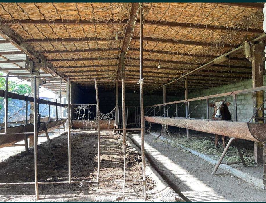 Uchastka tez va arzon sotiladi