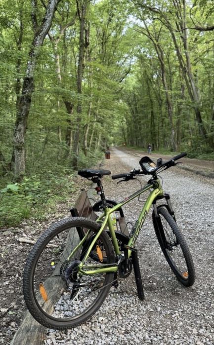 Bicicleta MTB Merida Big Nine 20 Green (2025) - Roti 29" - Cadru XL