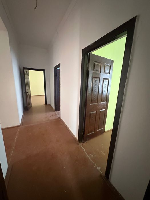 Katej kotej катеж