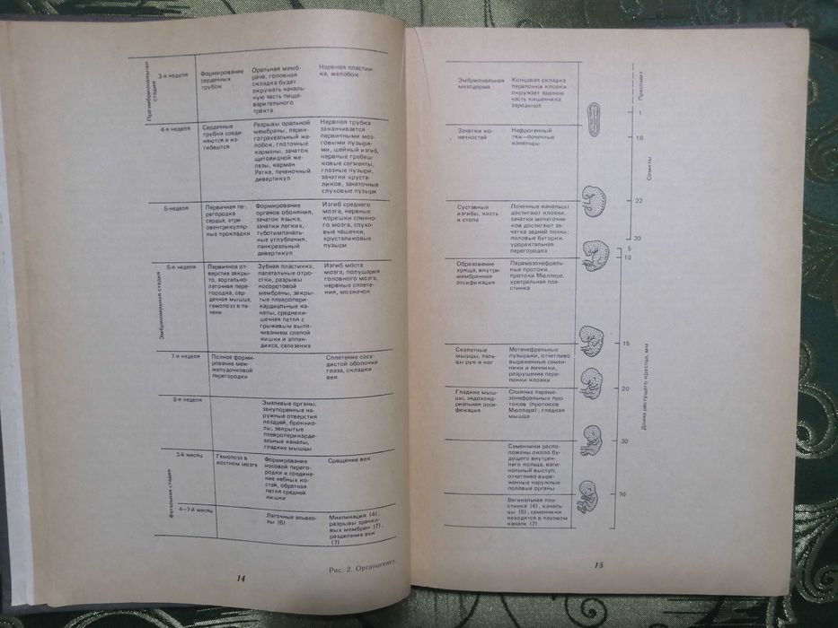 Продам книгу Неонаталогия пособие для врачей и студентов мед института