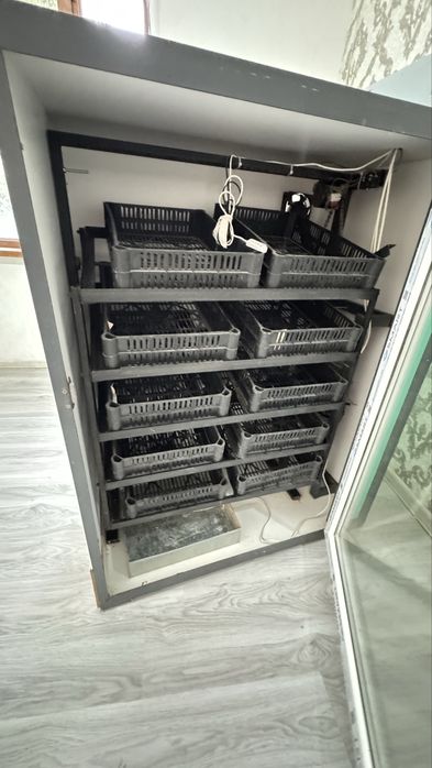 Инкубатор для яиц 250,000 тг