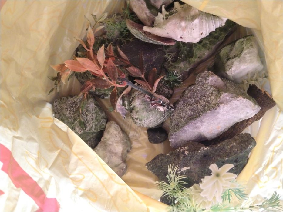 Аквариумна Декорация, Аквариумни помпи (филтри) и Нагреватели