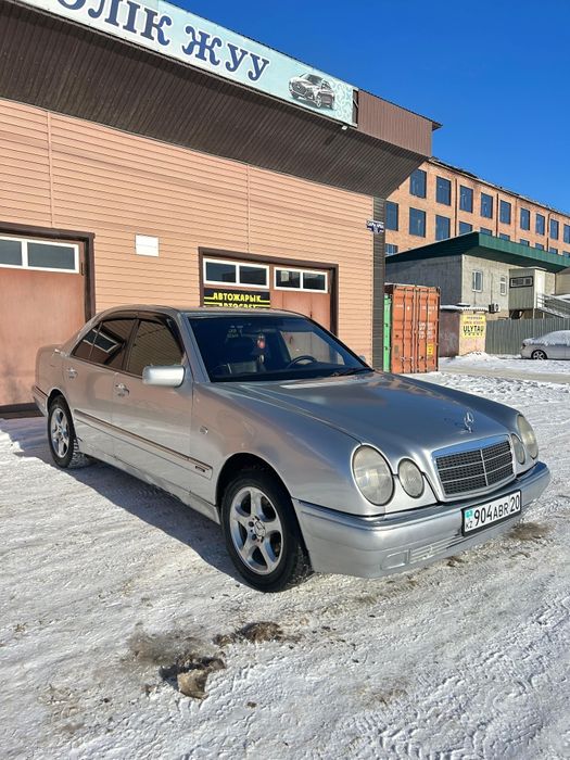 Мерседес лупарик