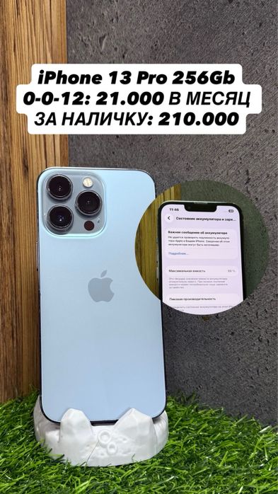 iPhone 16 Pro, 15 Pro, 14 Pro Max, 13 Pro, 11 Pro