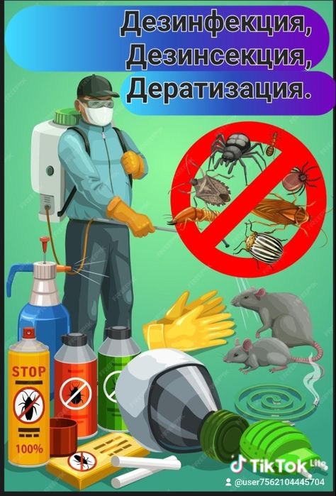 Дезинфекции, Дератизация