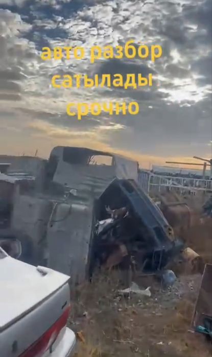 Обмен на баран овцы