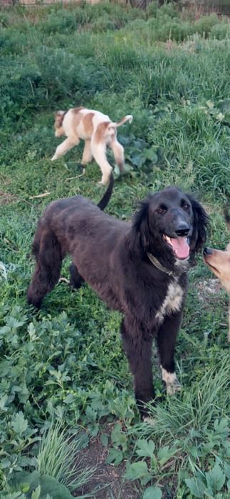 Русское порно