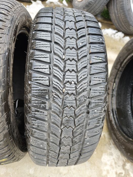 195/55/16 Sava Eskimo