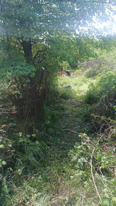 Чистене на запустели парцели