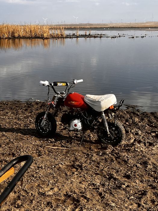 Honda monkey z125