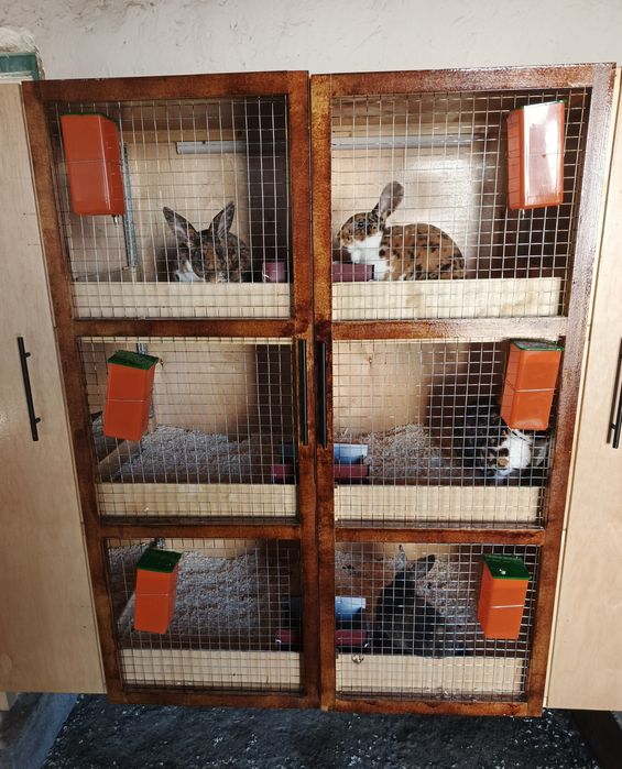 Куенлар учун куен кафас