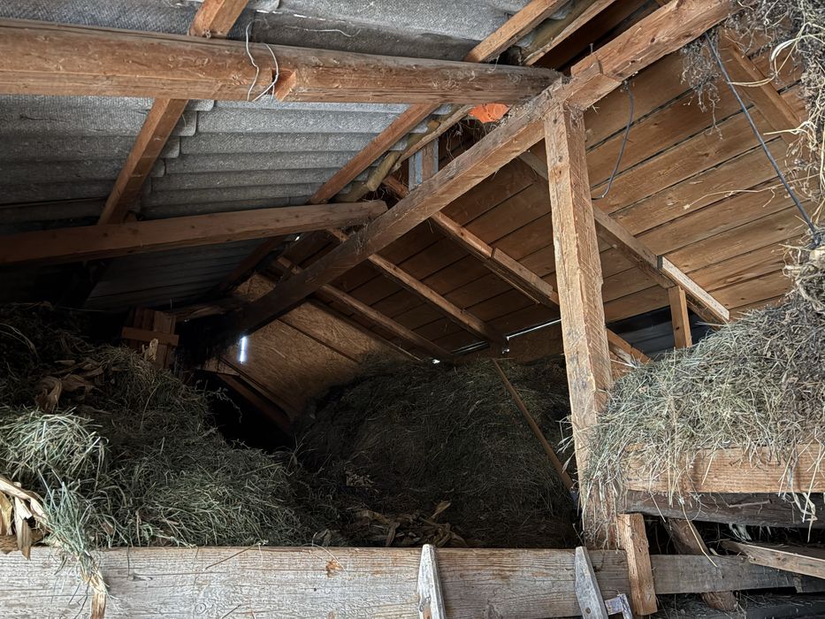 Fân de grădină și lucernă din 2025