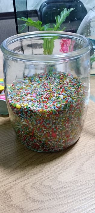 Set acvariu și accesorii pentru pești