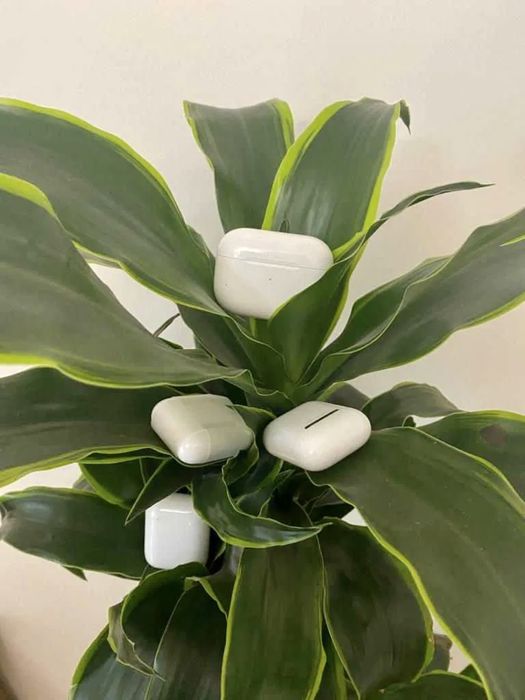 Airpods 3/2.1/Pro 2/Pro 1 кейс/case оригинал/