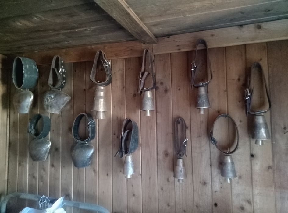 Vînd clopote tălăngi birji acioi