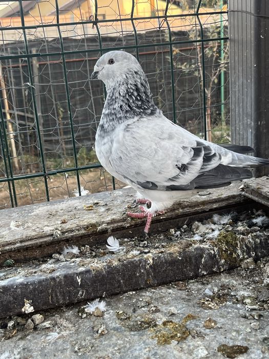 Lot disponibil ptr case noi