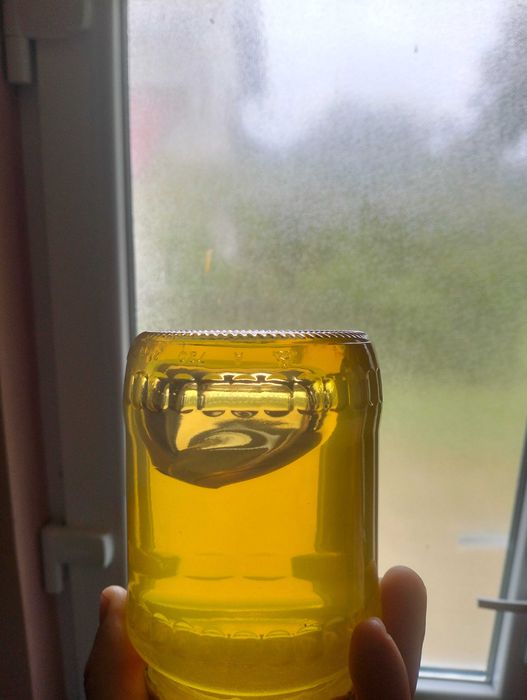 Miere de Tei 2026