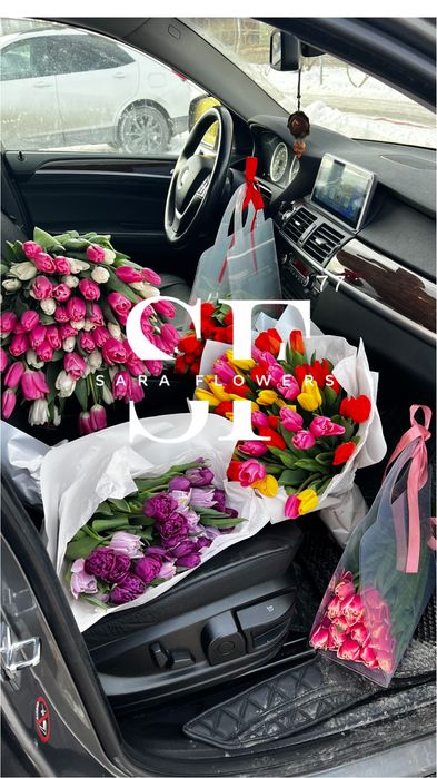 Оптовая продая тюльпанов