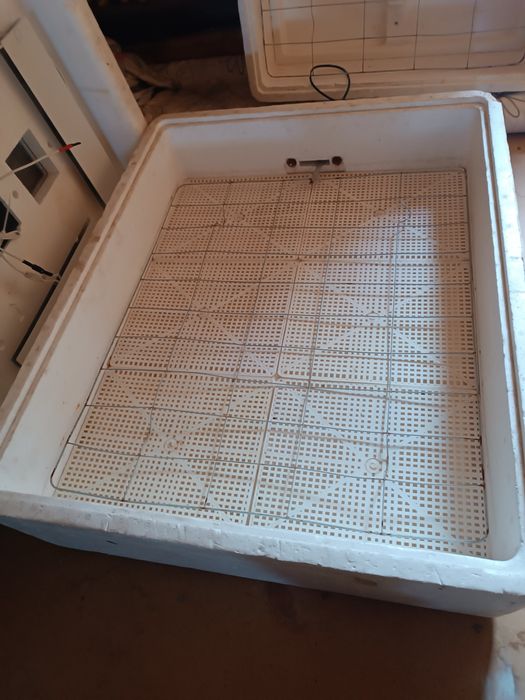 Продам инкабутор