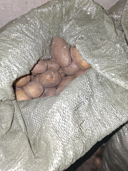 Продам картошку едавую
