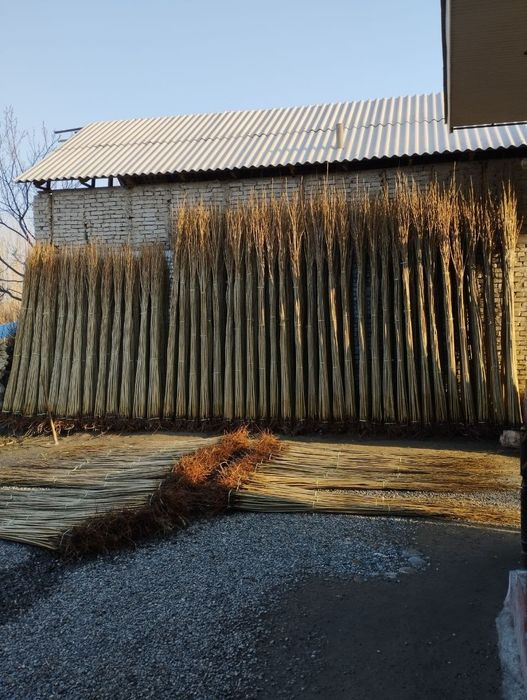 Terak koʻchat 800 soʻmdan