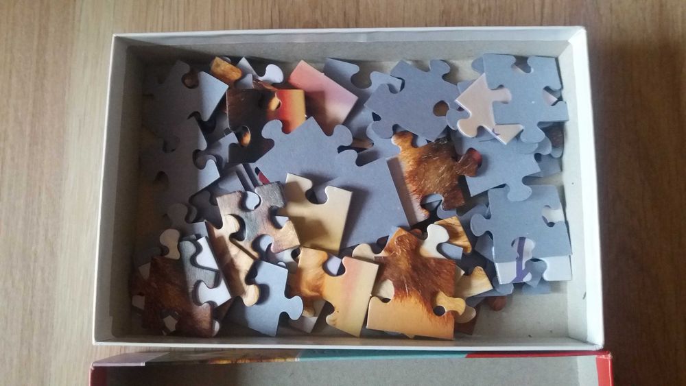 Clever Book Оцвети гората, Умен диск 4 на английски език, пъзели Cars