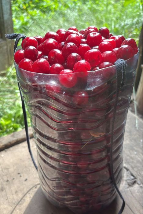 Дача Дачный участок Гудок