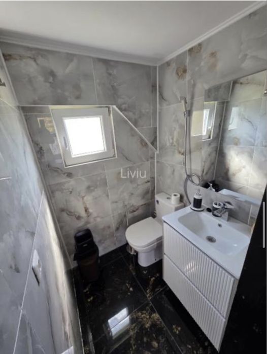 Proprietate 6000 mp cu iaz privat, casa de vacanta, livadă de nuci și foișoare – Ilișești, lângă Suceava