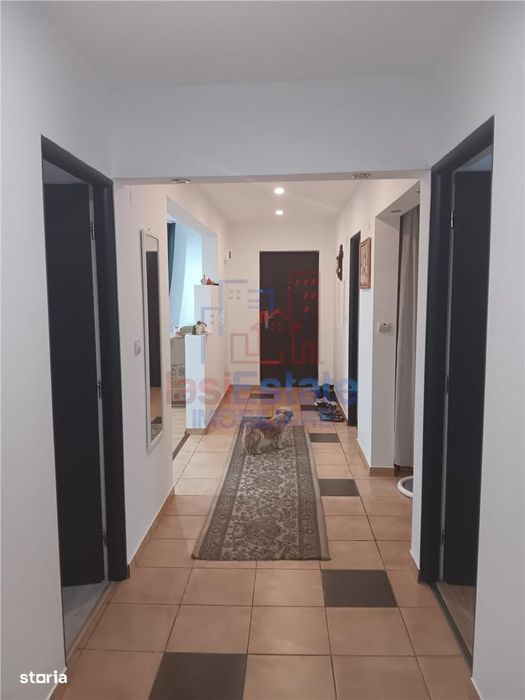 OCAZIE! Vorovesti rond TLT  CASA  PARTER  ST-102mp TEREN 700mp dubla d
