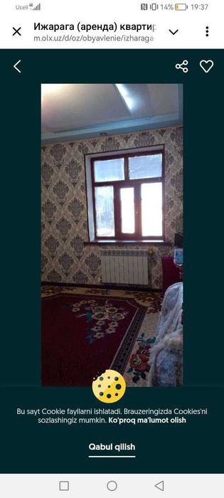 Ijaraga qizlar qo‘yiladi