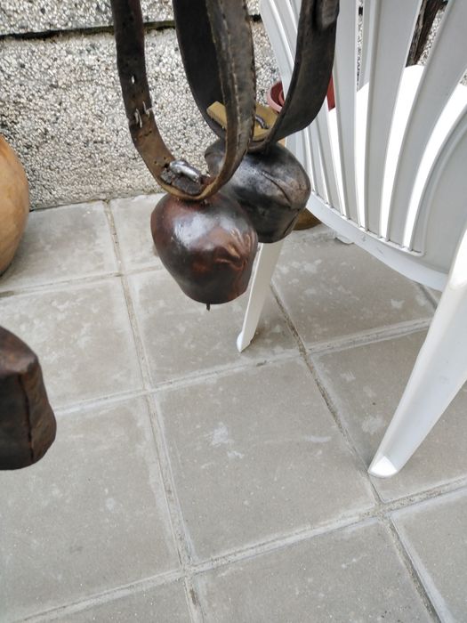 Красиви големи стари хлопки