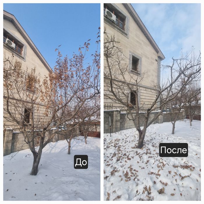 Обрезка плодовых деревьев разные!