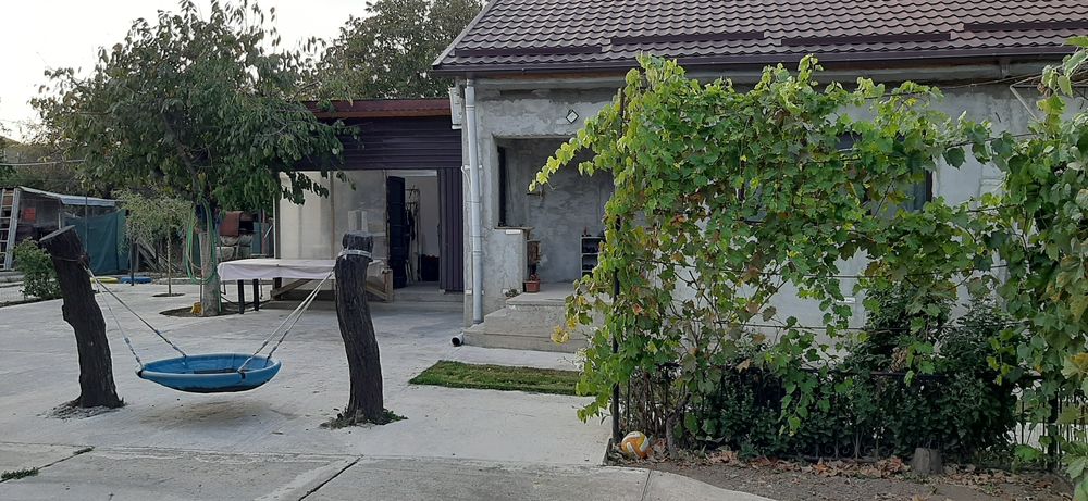 Casă de vânzare Topliceni