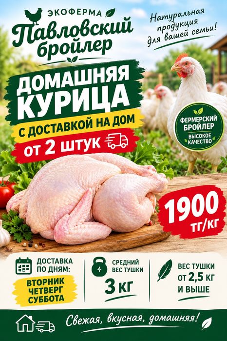 Мясо курицы, курица домашняя, бройлер.