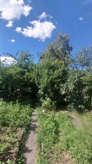 Продаю дачу  «в Обществе СПП»