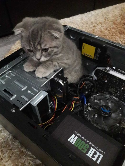 Программист Ремонт Компьютеров и Ноутбуков Установка Windows Программ