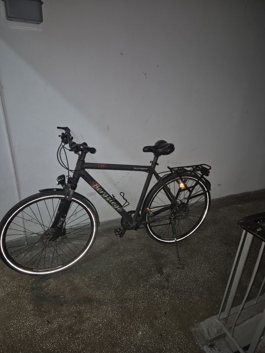 Bicicleta Berner Bergziege - Alfine11