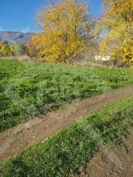 Парцел в с.Долнослав! 95499