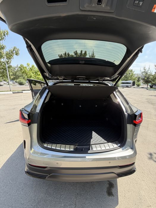 LEXUS nx350h 2025 birka 2026 texpasport Yurgan masofa 3300 klm