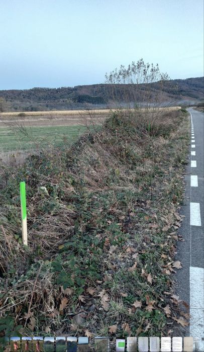 OFERTA parcele lacul Surduc