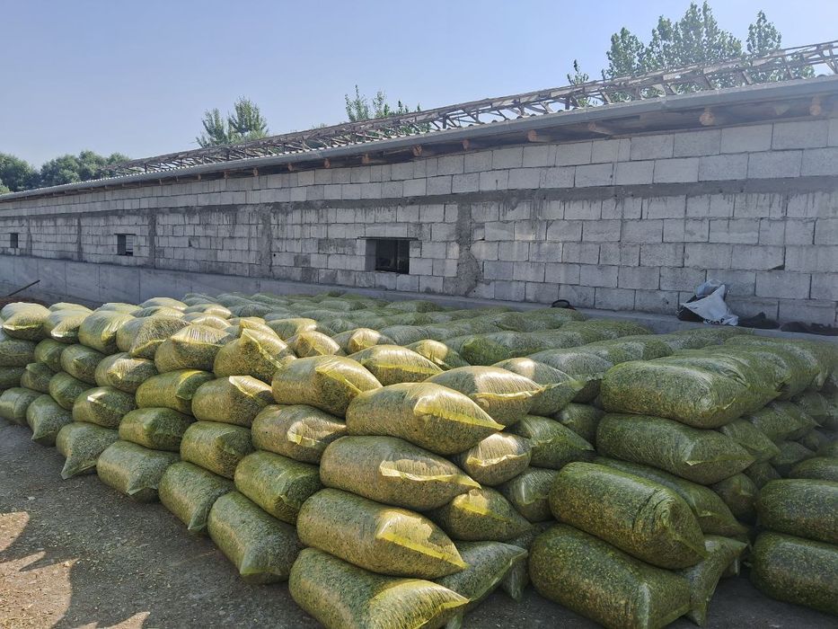 Silos donli va donsiz