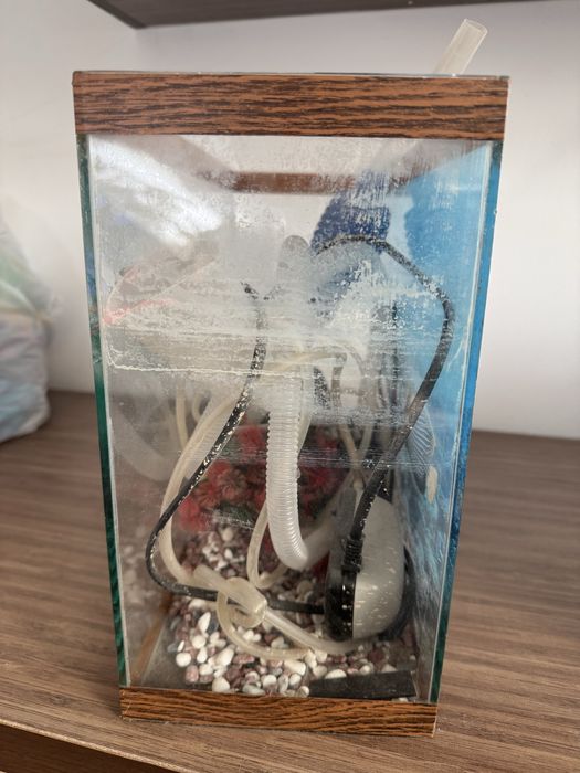 Аквариум без рыб все нудное есть