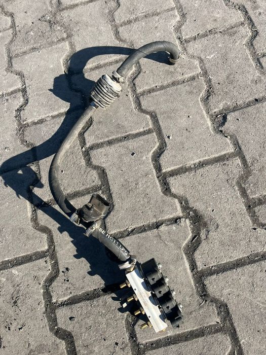 Гбо бу , stag польша