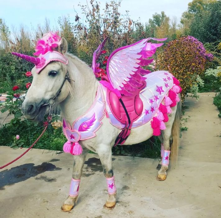 Аренда, кареты, пони