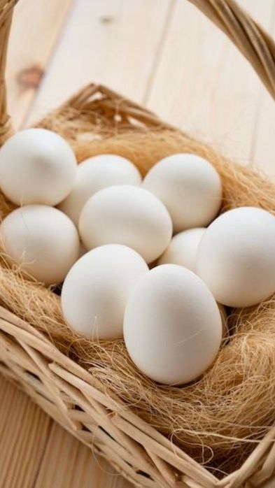 Gʻoz tuxumlari  ichida xoʻrozi bor