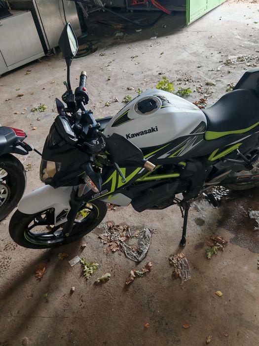 Kawasaki Z125 - 2023