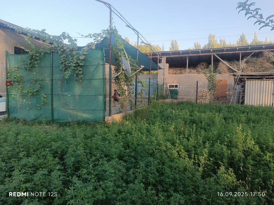 Уй сотилади дача учун жуда зур жой