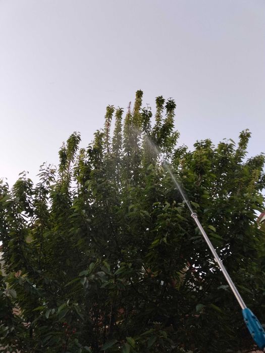 Обработка Сады,Типлицы,Парникы.Деревьев и Растение. От насекомых и т.д